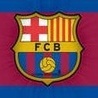   C@rlos5