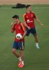 Spain+Training+Session+UEFA+European+U21+Championships+lxSUfOWM_2xx.jpg